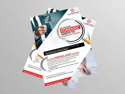 Forensic Audits Flyer Design ad advertisement catalog design flyer graphics instagram nisha nisha f1 nishadroch poster print