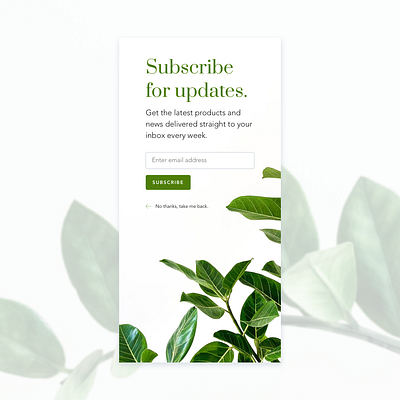 Daily UI 026 - Subscribe clean daily ui daily ui 026 daily ui challenge design minimal mobile app design subscribe subscribe form ui ui design