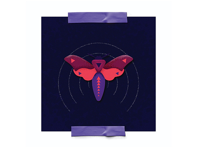 N4 illustration design moth