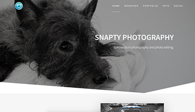 Snapty Site branding design graphic design logo typography web website