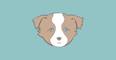 American Shepherd ( 2 Dribbble Invite 2d character design design dog doodle flat illustration