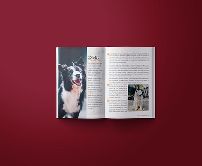 Dog Training Book Layout Design. book layout design brochure design design graphic interior layout design print design