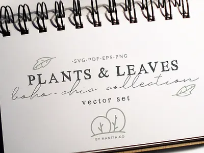 100 Boho Chic Plants and Leaves Vectors botanical illustrarion graphic design resources illustration nantiaco graphics plants and leaves plants illustrations