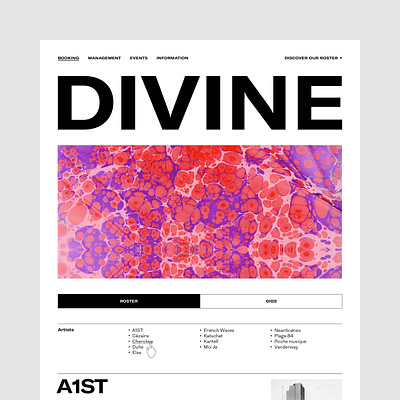 Divine Musique — UX & Interactive Art Direction agency art direction design interface management music responsive site ui ux web