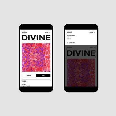 Divine Musique — UX & Interactive Art Direction agency art direction design interface management music responsive site ui ux web