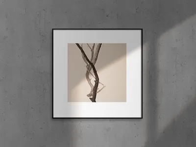 Frame mockup concrete frame light minimalism mockup natural overlay pastel photoshop picture shadow sun template wall wood