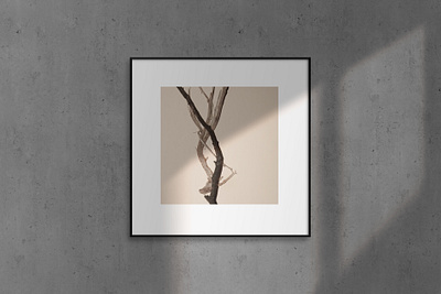 Frame mockup concrete frame light minimalism mockup natural overlay pastel photoshop picture shadow sun template wall wood