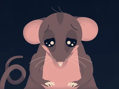 Pygmy Possum 2d animation character design illustration motion graphics