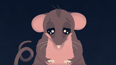 Pygmy Possum 2d animation character design illustration motion graphics