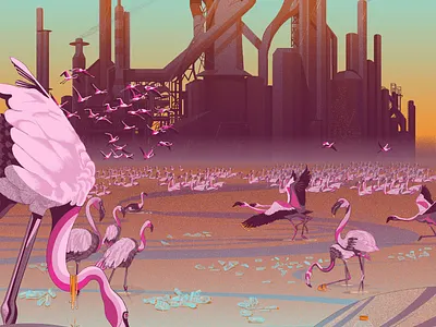 Flamingos in Thane Creek