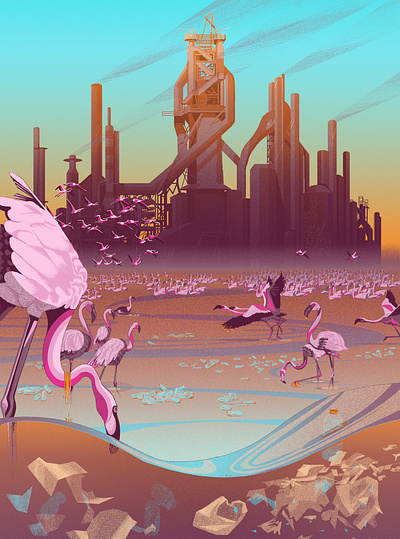 Flamingos in Thane Creek