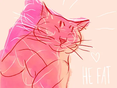 He Fat He Cat animal cat chonk illustration paws procreate sleeping