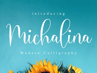 Michalina Script beautiful font blogger font calligraphy custom font elegant font fashion font feminine font font for logos handmade handwritten font heart font heart swashes instagram font logo font lovely font modern calligraphy modern font romantic font script trendy font