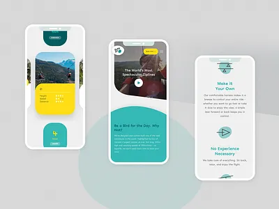 SuperFly Ziplines ui webdesign zipline
