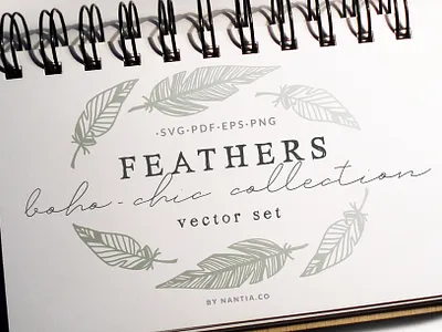 100 Boho Chic Feathers Vectors Mega Pack boho chic feathers feathers clipart illustration nantiaco graphics svg files