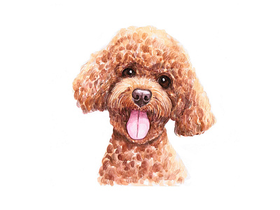 Poodle animal cute dog dog illustration funny illustration pet puppy watercolor watercolor art