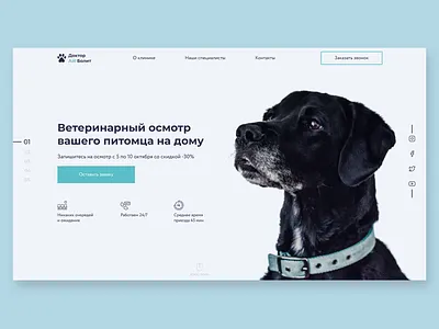 Vet clinic mainpage animal dog flat minimal pet typography ui user experience user interface ux veterinary webdesign