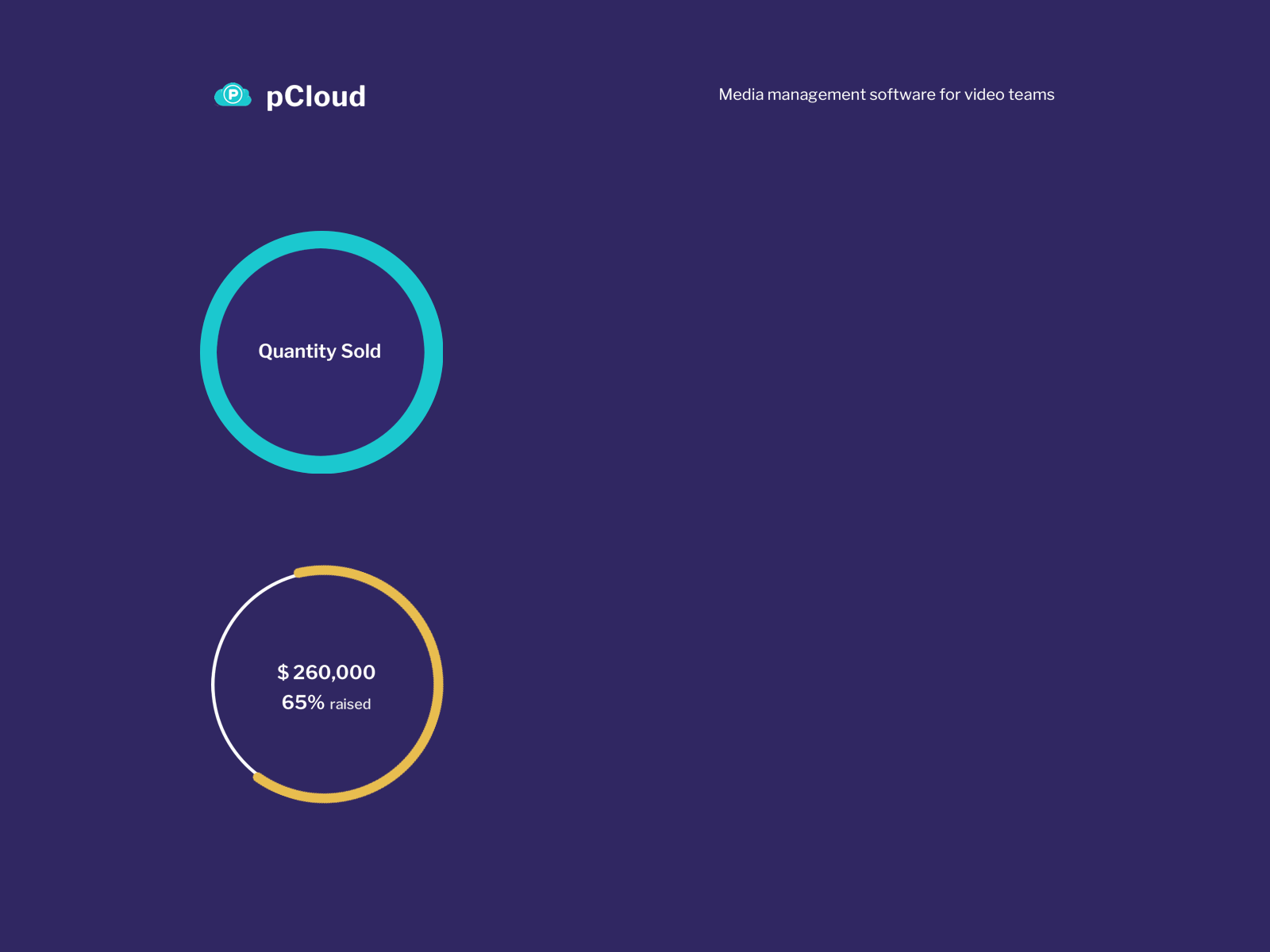 Fundraising Charts design graphs software company web