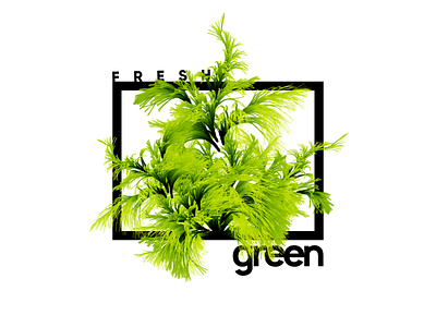 Fresh & Green black clean composition design fresh green minimal plant pure simple typography
