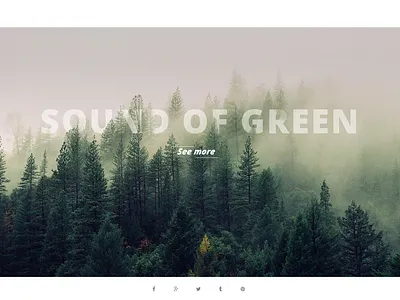 Home Photography design photography ui web