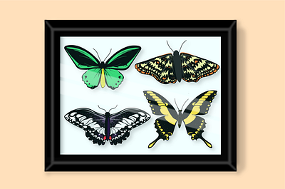 Frail // Inktober Day 8 adobe illustrator butterflies butterfly design framed illustration illustrator inktober logo pinned trapped vectober vector