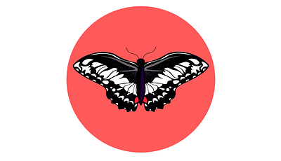 Butterfly Series // Three adobe illustrator branding butterflies butterfly design graphic design illustration illustrator inktober logo purple red series vector woman