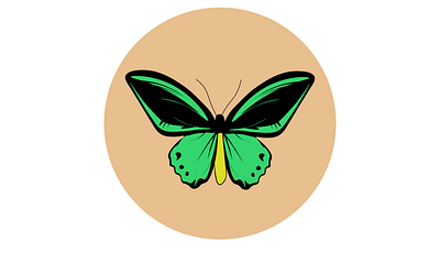 Butterfly Series / One adobe illustrator butterflies butterfly design green illustration illustrator inktober 2019 logo vectober vector