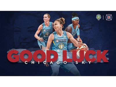 Chicago Sky Graphic basketball chicago fire chicago sky chicago sports soccer sport sports sports graphic sports graphics womens basketball