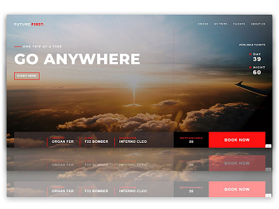 Airline UI Design Project clean clean design landingpage minimalist design ui uidesign webdesign website