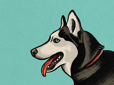 Arya Sketch art brush design dog drawing husky illustration procreate sketch texture vintage