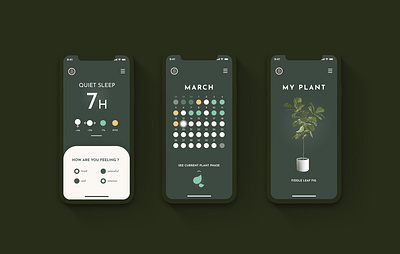 Slumber & plants abstraction app app design design design art designer designs feeling graphics minimal nature plant reflexion science sleep test ui ui design ux vector