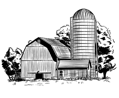 Farm Illo farm illustration procreate silo