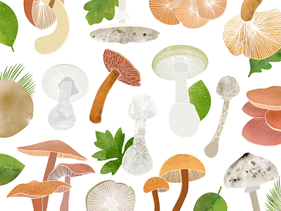 Fungi design illustration texture vector