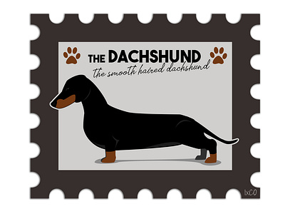 The Dachshund by IxCO dashchund dog dog illustration dog logo dogs ixco