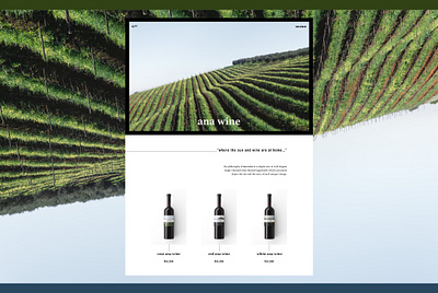 ANA WINE Winery Landing Page Concept (Website) Part 1 design graphic design homepage landing page landing page concept landing page design logo sketch ui ui design ui ux ux vector vine web designer website website design website designer winery winery website