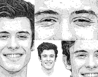 Shawn Mendes actor actress art portrait celebrity commission commission open design entertainment figure portrait portrait art portrait illustration shawn mendes