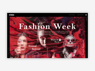 Vinix branding design flat typography ui ux web website website design