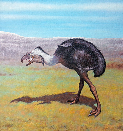 Phorusrhacos inflatus animal bird dino dinosaur extinct gouache painting paleoart paleontology prehistoric