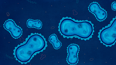 Bacterias adobe animation background bacteria blue characterdesign illustration microscope photoshop texture