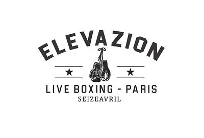 boxing logo 3 boxing gloves branding colorful design design gym logo logo logo 3d logo design modern logo retro logo vector vintage logo