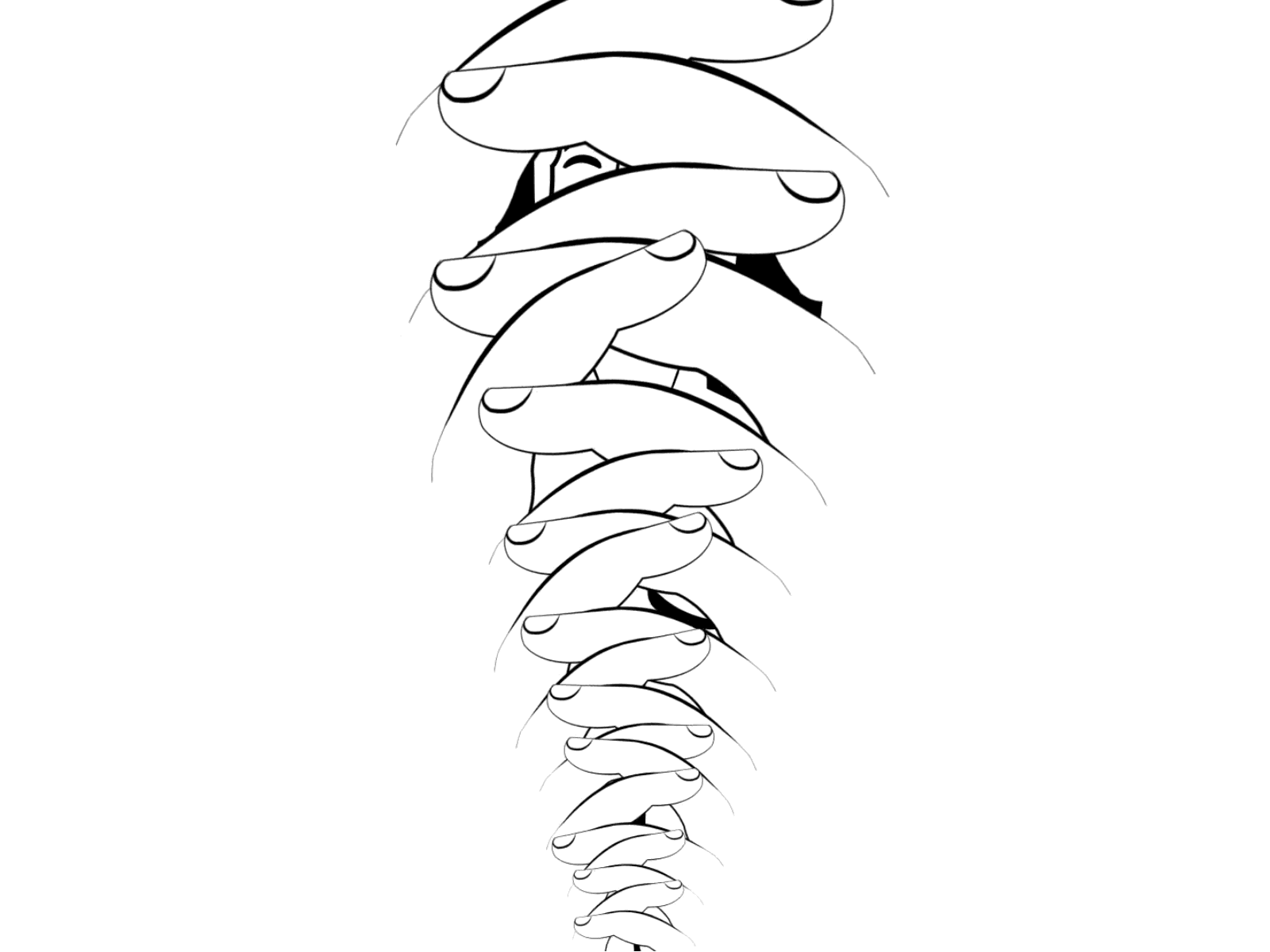 Be born aftereffects animacion animation 2d be born dark design hand ilustración motion motion design motiongraphics