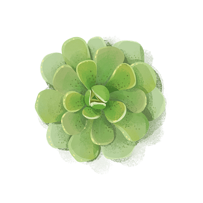 Succulent clipart design illustration illustrations plants prints stickers succulent succulents zooza