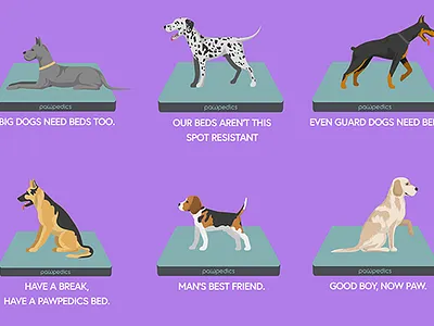 Dog Bed Instagram Posts animal dog illustration instagram