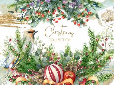 Watercolor floral Christmas collection art background christmas christmas collection clipart design design elements floral florals flower flowers graphic graphic design graphics illustration texture vector watercolor watercolor floral watercolor flowers