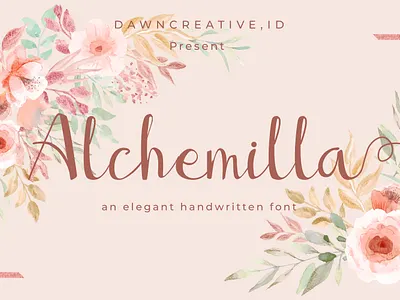 Alchemilla font branding design fontself handwritten font illustration script font typography