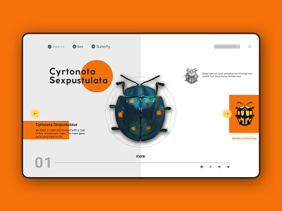 Insect WEB UI/UX insect ui ui design uikit uiux webdesign webui