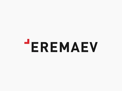 Eremaev branding colors design dribbble logo vector