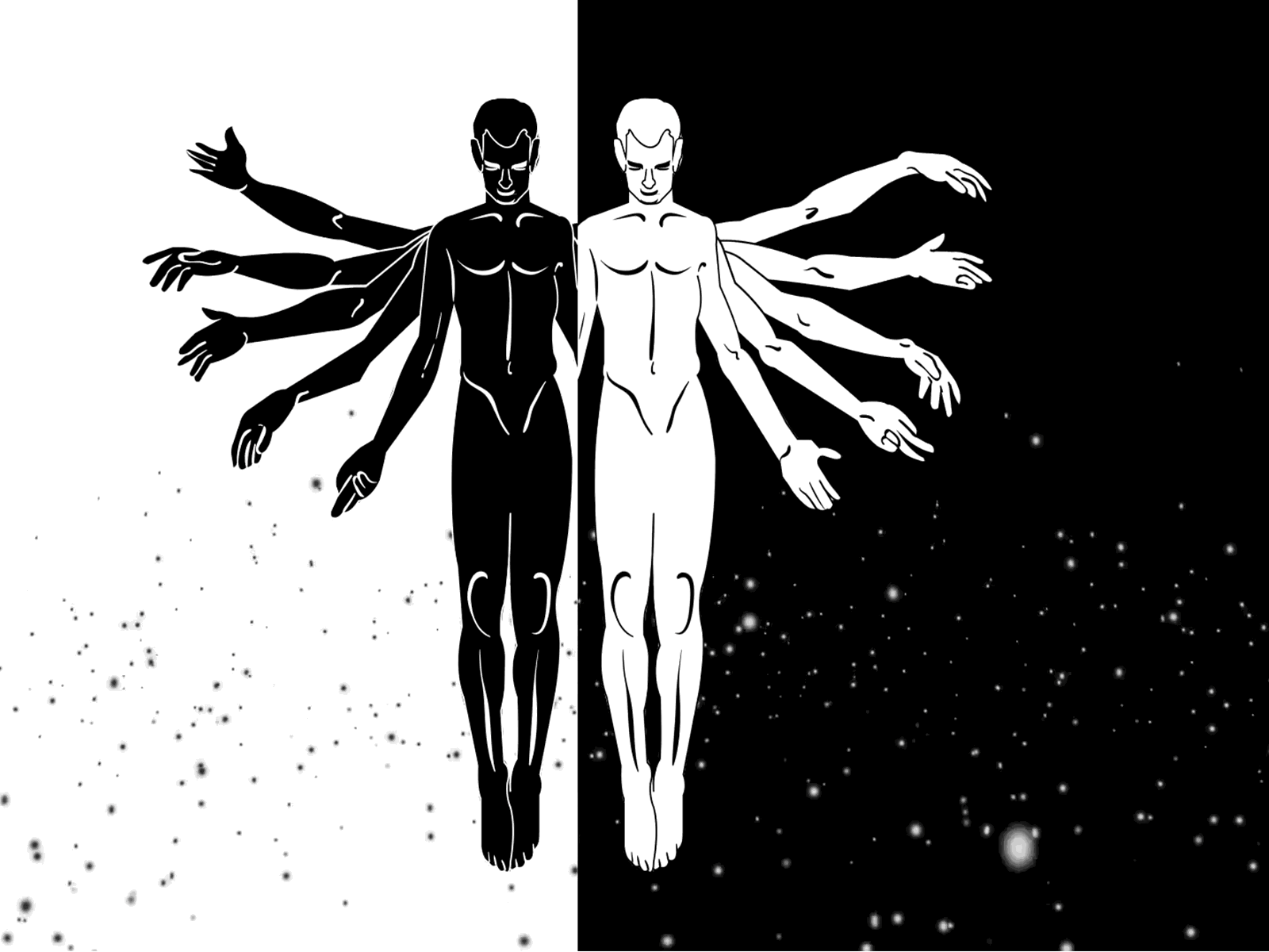 Yin Yang aftereffects animacion animation 2d born dark design ilustración motion motion design motiongraphics