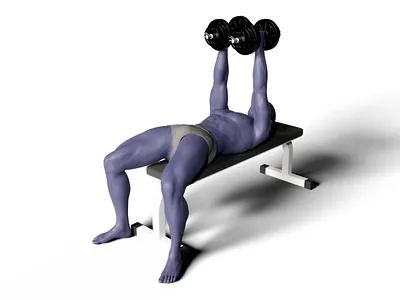 3D Anatomy 3d 3d art 3d modeling anatomy modeling