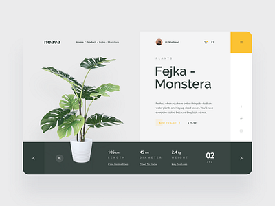 Neava Plant Shop 🌿 buy clean dashboad design flat header homepage minimal monstera photos plant plants shop shopping simple tablet ui user interfaces ux website